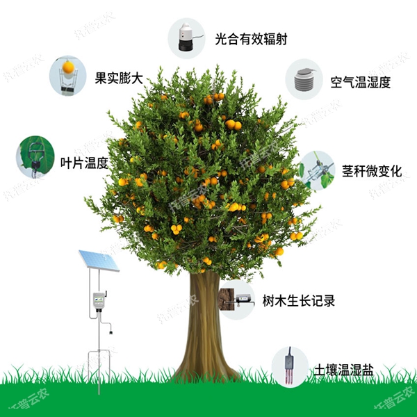 植物生理生態監測系統不斷發展成熟起來