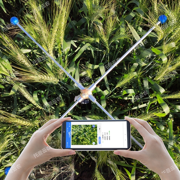 小麥畝穗數測算儀