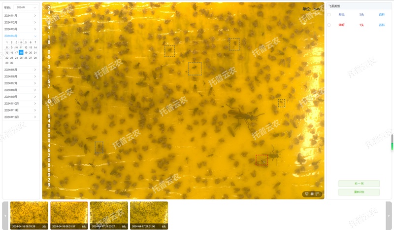 4. 智能識別 自動計數_副本.jpg