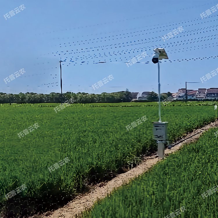 自動趕蛾智能統計桿