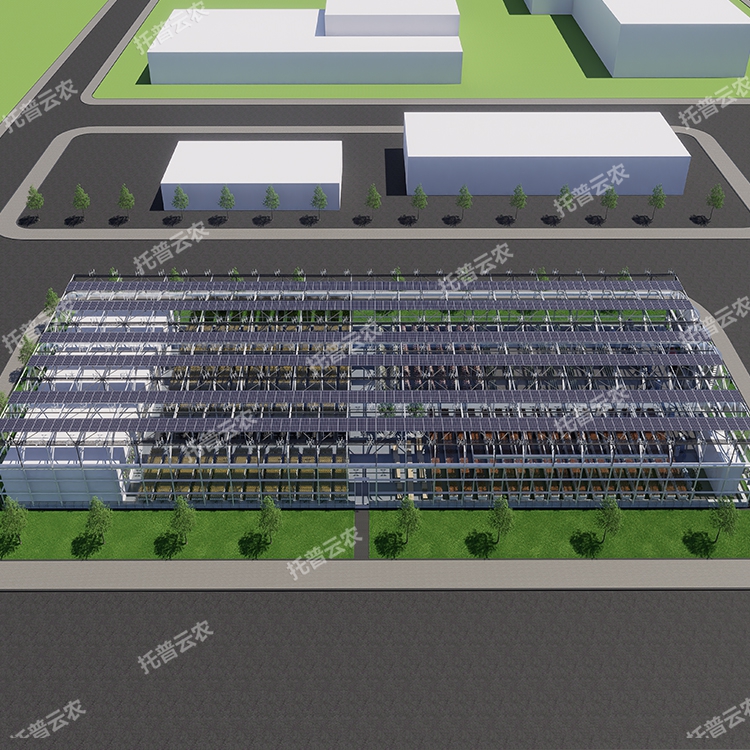 溫室型植物工廠